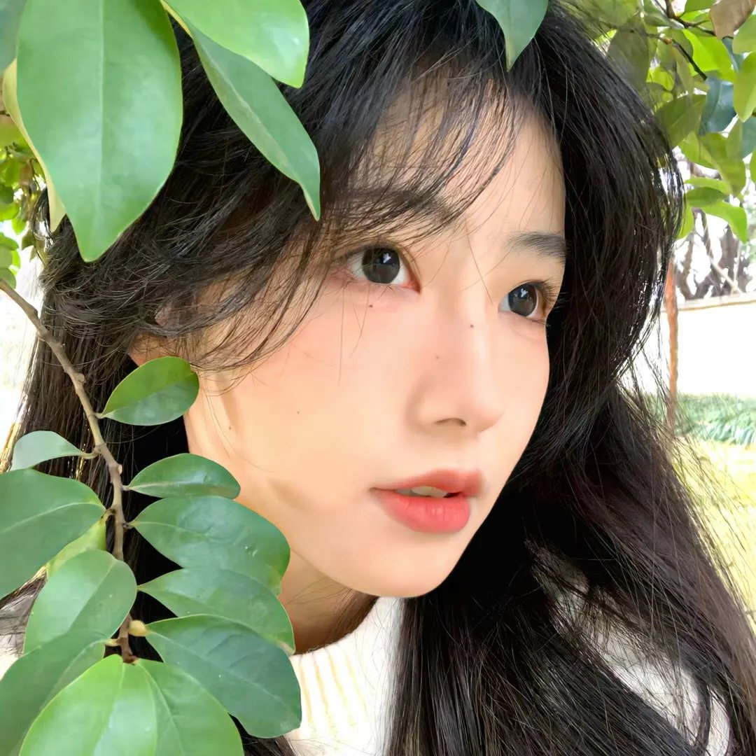 盗贼生涯