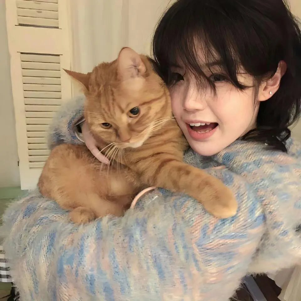 君有云